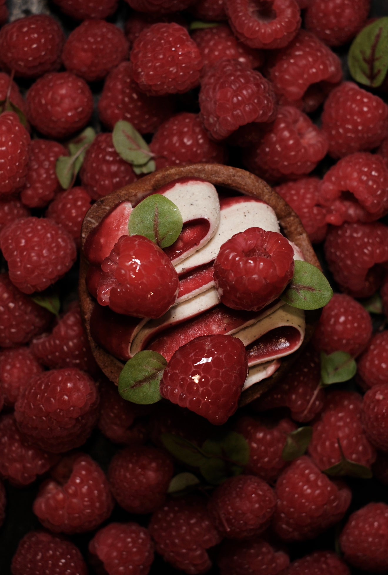 slideshow background