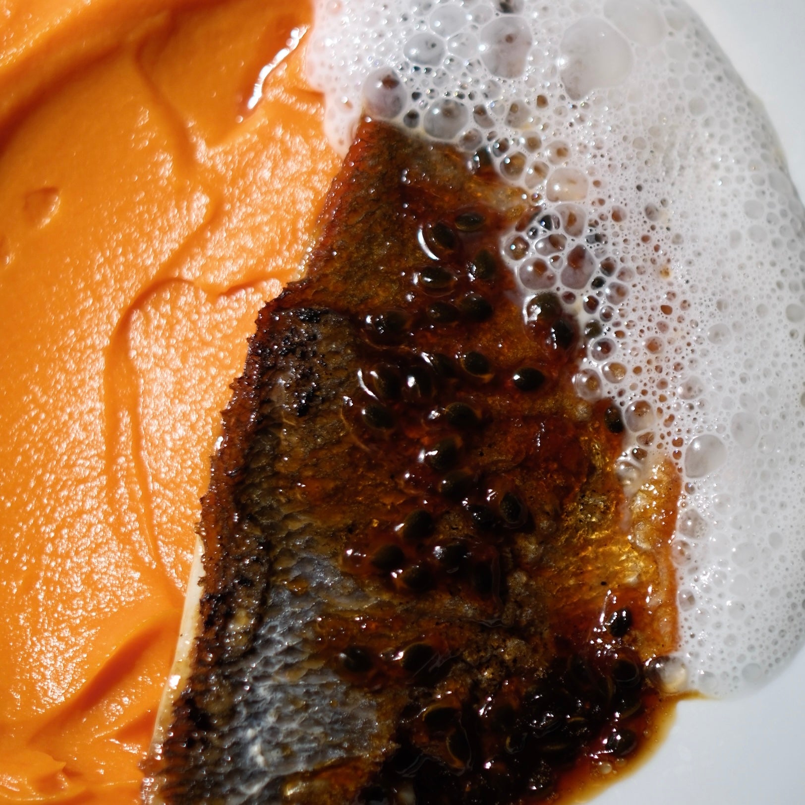 slideshow background